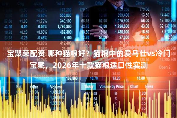 宝聚荣配资 哪种猫粮好？猫粮中的爱马仕vs冷门宝藏，2026年十款猫粮适口性实测