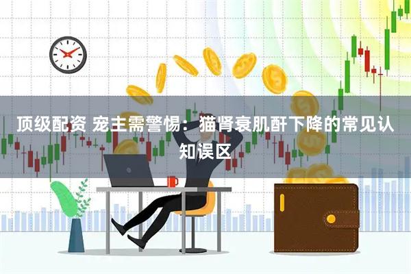 顶级配资 宠主需警惕：猫肾衰肌酐下降的常见认知误区