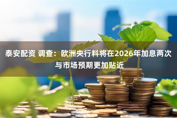 泰安配资 调查：欧洲央行料将在2026年加息两次 与市场预期更加贴近